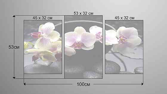 Модульна картина Квіти Орхідея Art-100_3 Київ