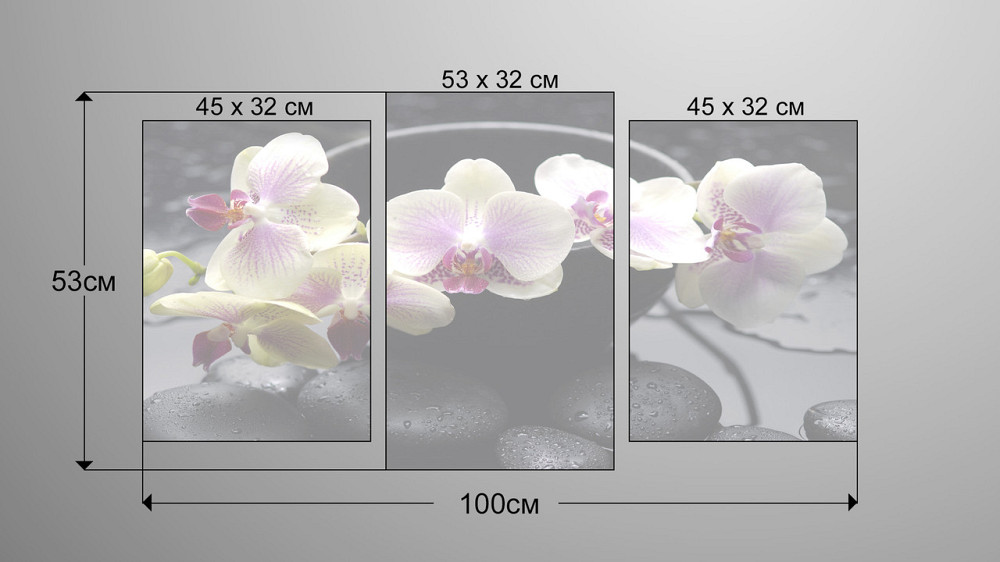 Модульна картина Квіти Орхідея Art-100_3 Київ - фото 3