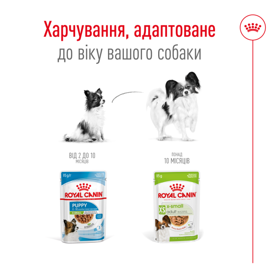 Вологий корм для дорослих собак ROYAL CANIN XSMALL ADULT IN GRAVY 0.085 кг Київ
