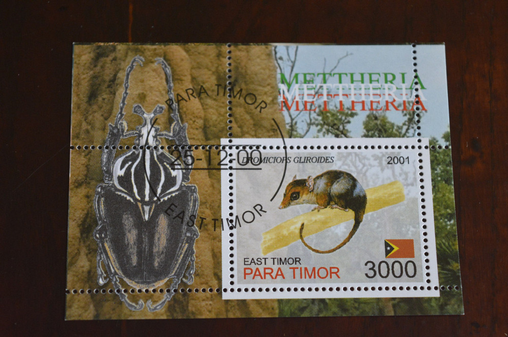 Тимор. Фауна. 2001 год Полтава - изображение 1