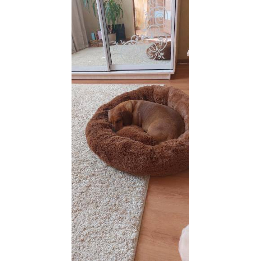 Лежанка для кішок та собак «Ворс» L (60см), Коричневий Київ - фото 5