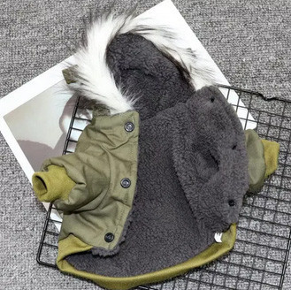 Курточка для дрібних порід собак Київ - фото 2