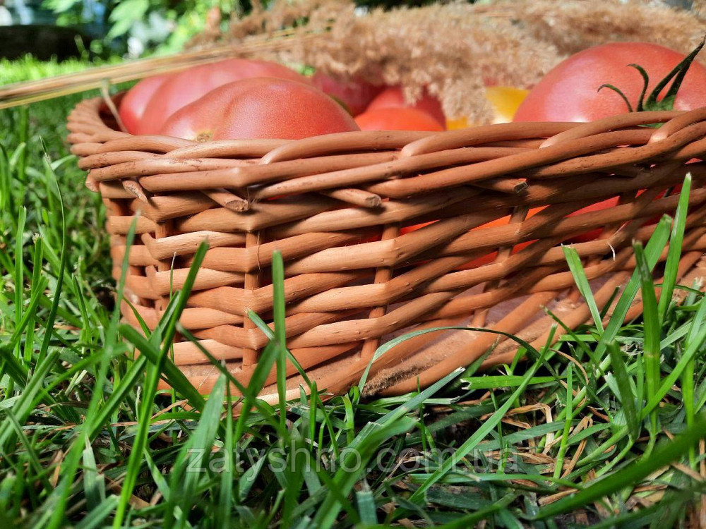 Лоток плетеный из лозы для хранения фруктов и овощей Киев - изображение 4