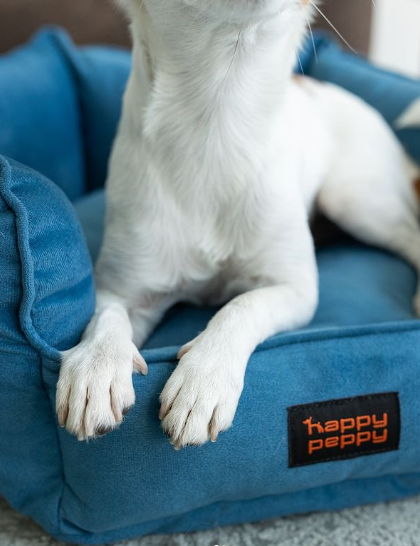 Лежак для собак і котів Happy Peppy (Хеппі Пеппі) Voyage 70 х 70 см., Синій Запоріжжя - фото 3