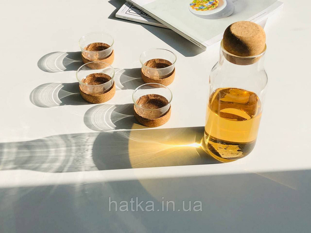 Бутылка стеклянная с пробковой крышкой для воды сока молока  Olens 