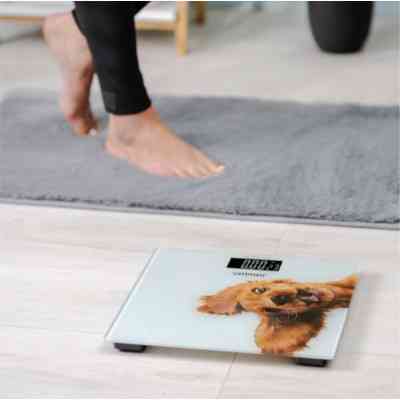 Ваги підлогові Zelmer ZBS1010 Вінниця