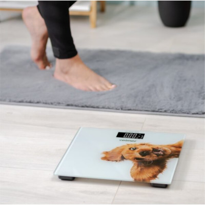 Ваги підлогові Zelmer ZBS1010 Вінниця - фото 5