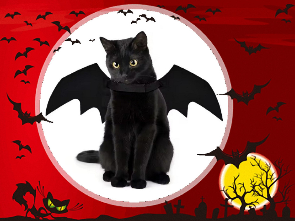 Крила кажана косплей для собак і котів крила на Хелловін чорний Київ - фото 1