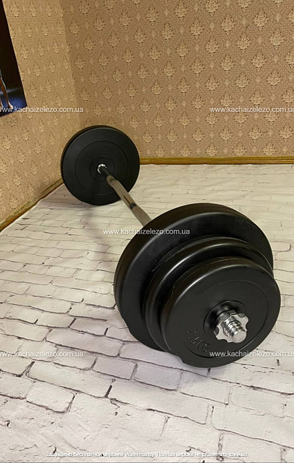 Штанга наборная W-образная на 42 кг Гантели, гири, штанги и диски с пластиковым покрытием Киев - изображение 3