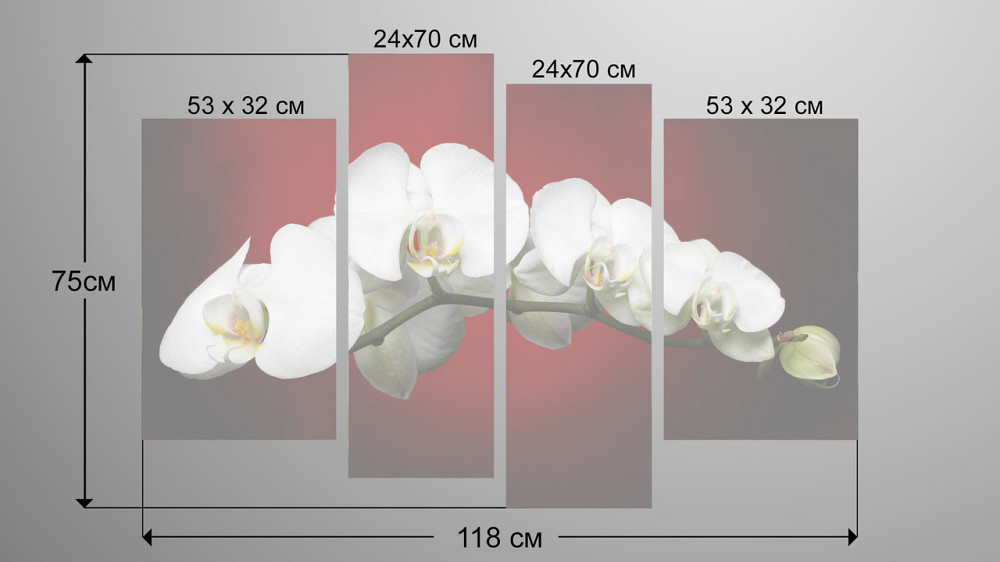 Модульна картина Орхідея Art-93_4 Київ - фото 3