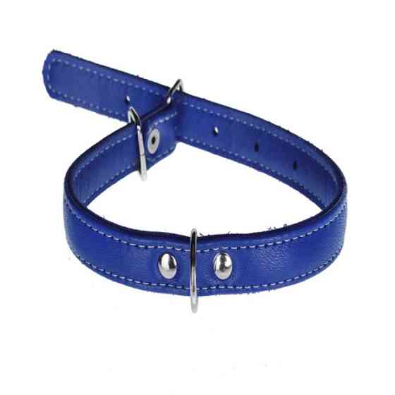 Ошейник 1665 15мм "Люкс" 1 стр. Синий Вінниця
