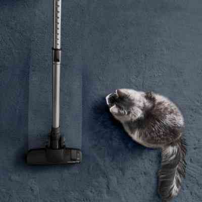 Пилосос Rowenta RO7C89EA Вінниця