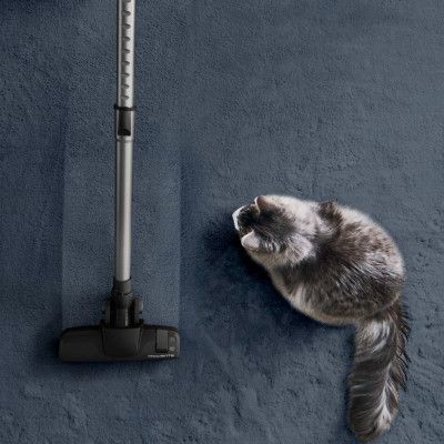 Пилосос Rowenta RO7C89EA Вінниця - фото 2