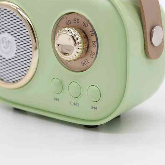 Колонка для караоке з мікрофоном на акумуляторі, Зелений / Блютуз колонка з мікрофоном / Караоке колонка Київ