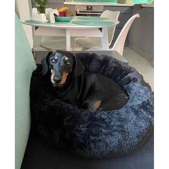 Лежанка для кошек и собак «Ворс» 3XL (100см), Чорний Киев