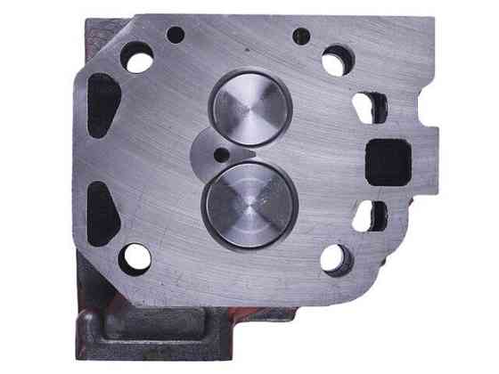 Головка цилиндра в сборе  GZ на дизельный двигатель 195N Мукачево