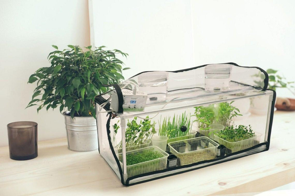 Пророщувач побутовий для насіння, мікрозелені та розсади GreenCap L Metaplant з фітосвітлом та зволо Бориспіль - фото 5