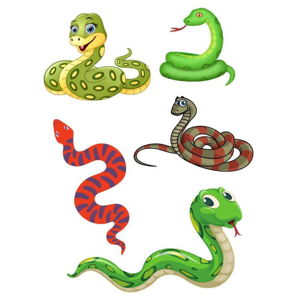 Временная татуировка Змейки Ink-Ok 74634927, 5 картинок Винница - изображение 1