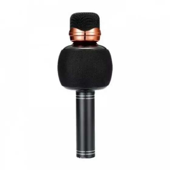 Беспроводной караоке микрофон с динамиком 5 тембров USB AUX FM Wster WS-2911 Коломыя