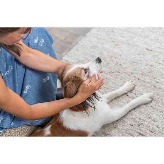 Серветки Trixie для догляду за очима, 30 шт. Київ