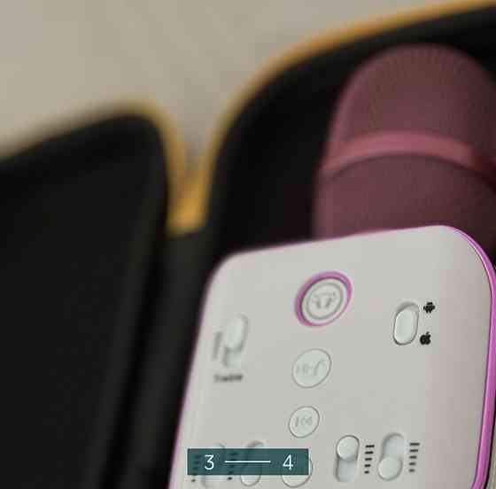 Микрофон - Колонка. Киев