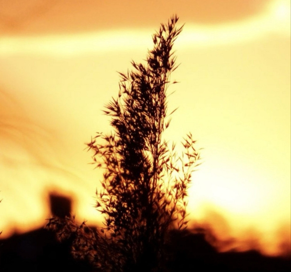 Sony Cyber-shot HX90V стан нового!!! Киев - изображение 2