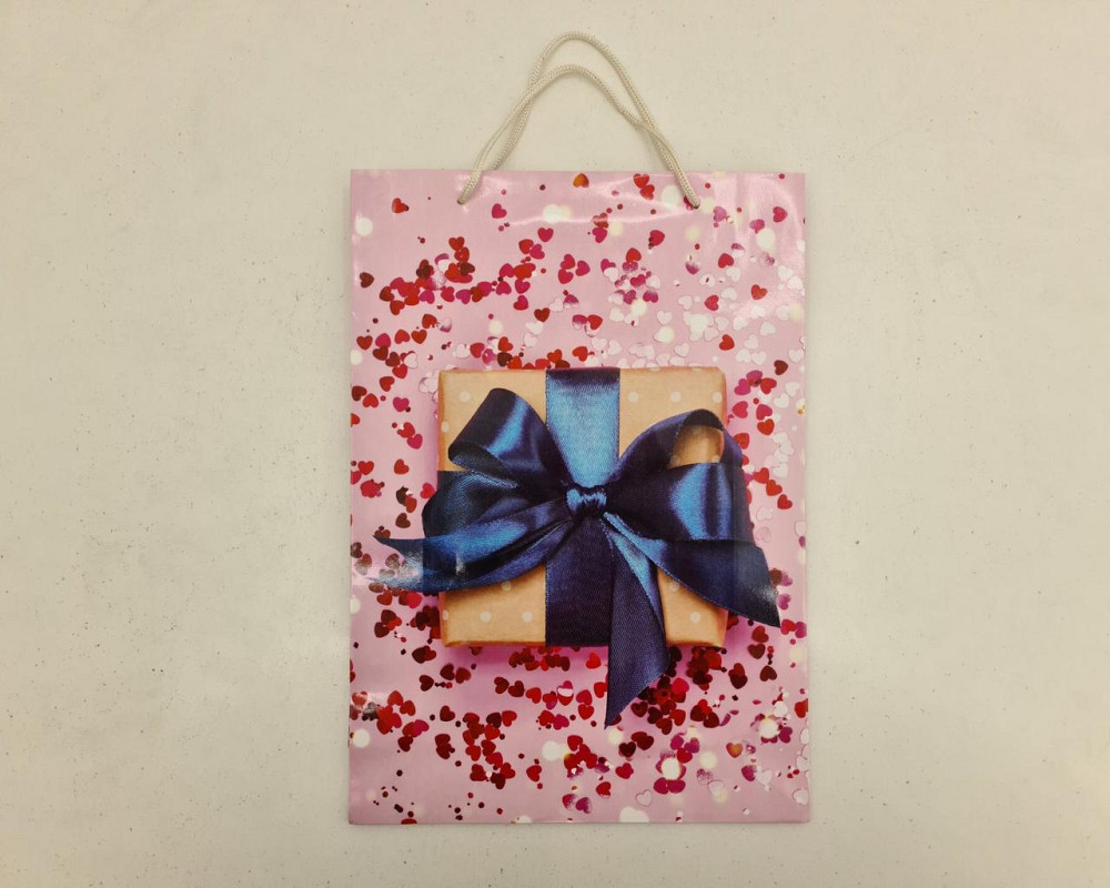 Великий паперовий пакет вертикальний 25/37/8 (артBV-122) (12 шт.) Харків - фото 3