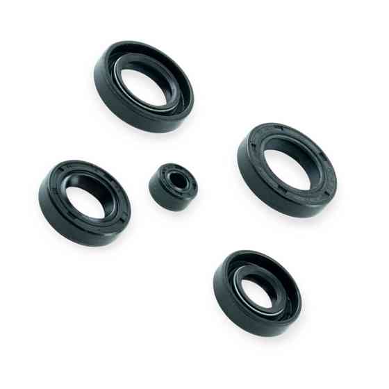 Набір Minsk-Viper CG 125, 150 сальників Мукачево