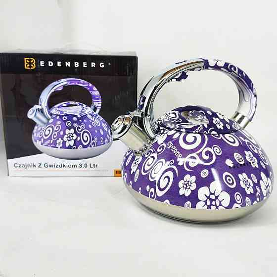 Чайник из нержавеющей стали с пищалкой, Красивый чайник для плит для газовых плит VK-45 Львов