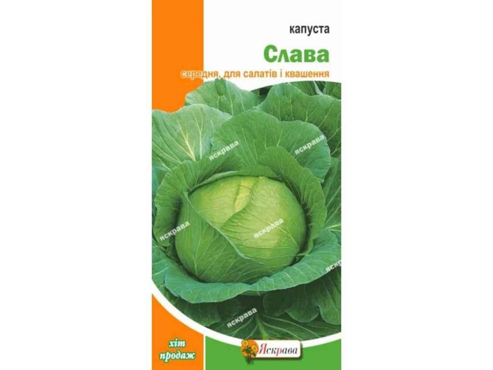 Капуста білокачанна Слава (20 пачок) 0,5г ТМ ЯСКРАВА Київ - фото 1
