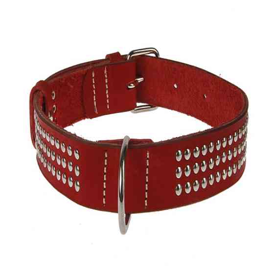 Нашийник 6365 40мм "Класик преміум" шкіряний прикрашений металофурн. Синій Вінниця