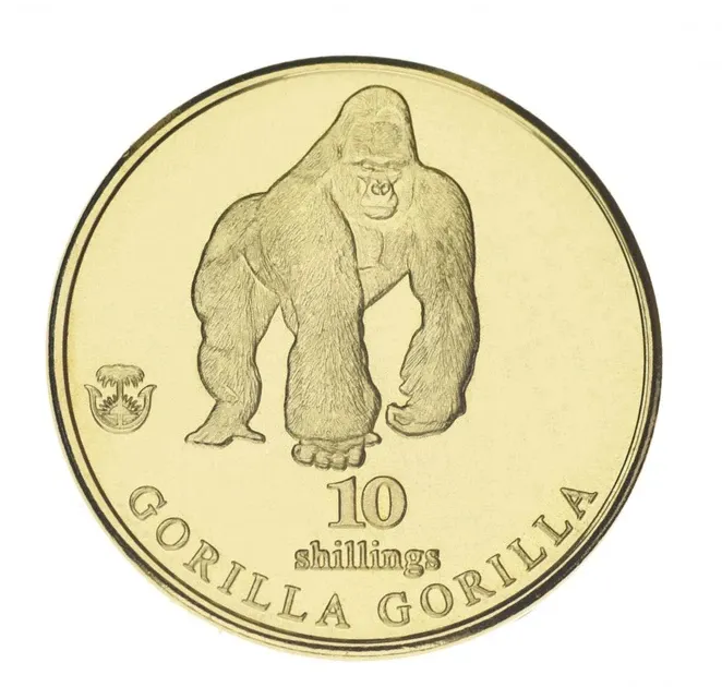 Монета Біафра 1065ів 2021 UNC Горила Полтава - фото 1