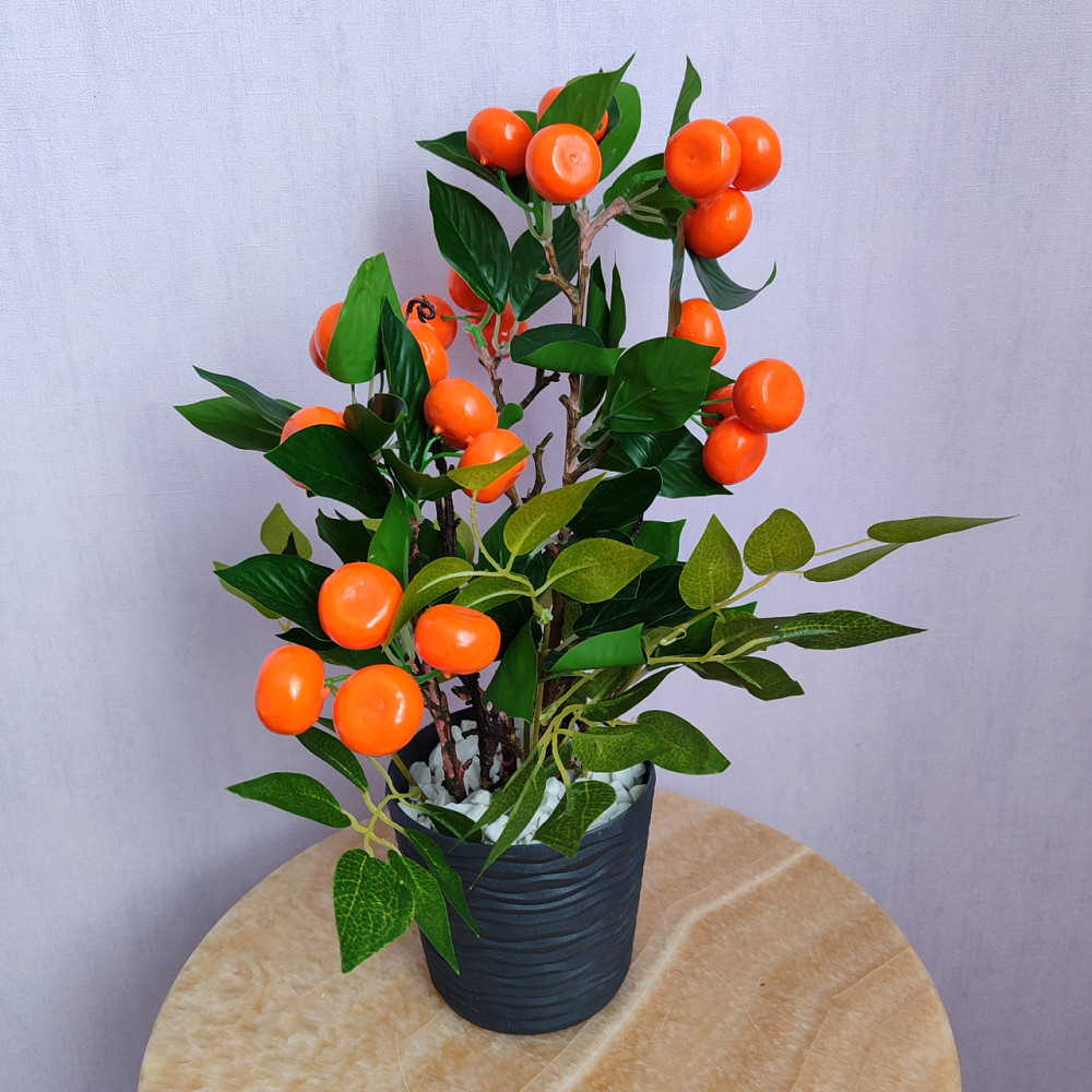 Соковитий мандарин Дніпро - фото 1