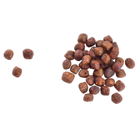 Сухой корм Brit Care Cat by Nutrition Kitten Gentle Digestion Strong Immunity для котят, с лососем, 7 кг Винница