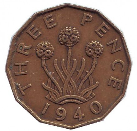 Цибулю-порей. Монета 3 пенси. 1940 рік, Великобританія. Полтава - фото 1