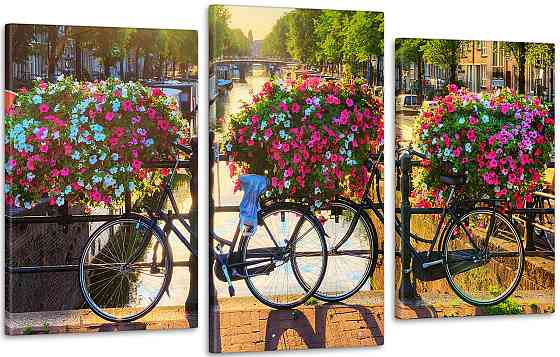Модульна картина Квіти Велосипеди (53х100см) Art-179_3 Київ