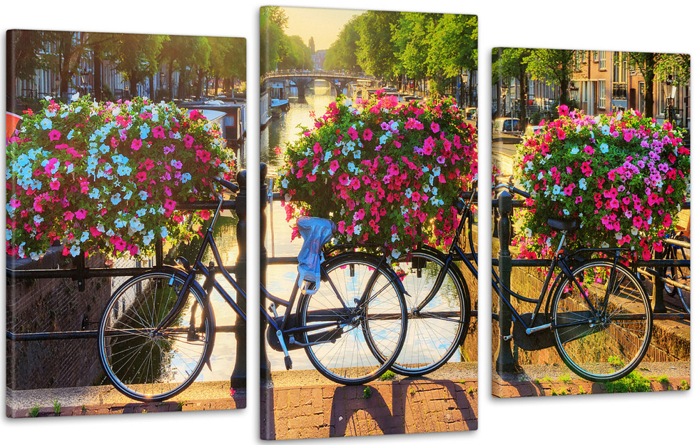 Модульная картина Цветы Велосипеды  (53x100см)  Art-179_3 100x150 см Киев - изображение 1