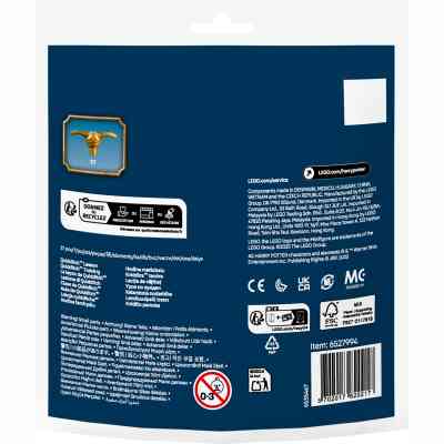 Конструктор LEGO Harry Potter Урок по квиддичу (30706) Винница