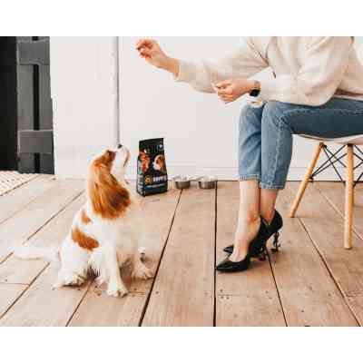 Сухий корм для собак Savory Puppy rich in Fresh Turkey and Chicken 1 кг (4820232630280) Вінниця