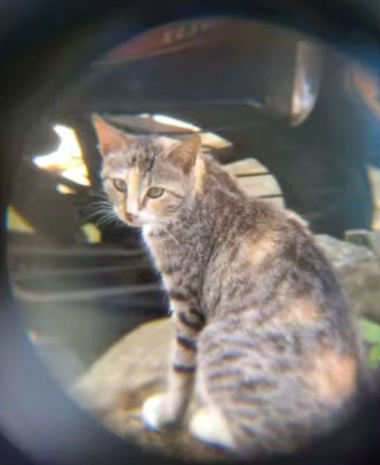 Бинокль мощный 500 Киев - изображение 2