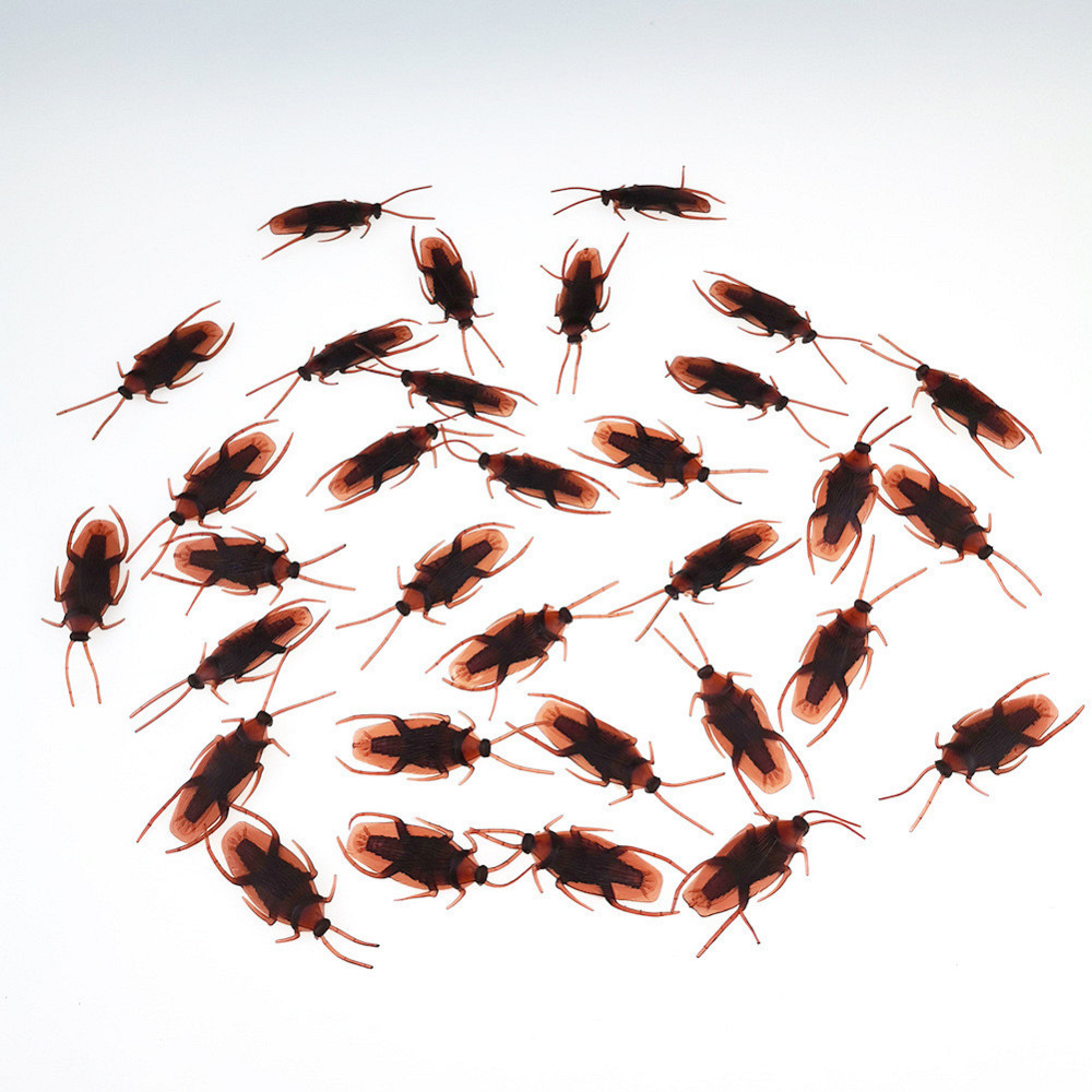 Искусственные тараканы 10 штук 14 на 45 мм коричневый Киев - изображение 8
