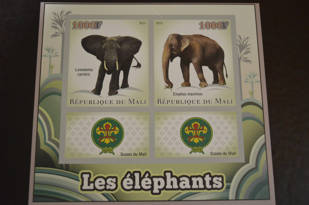 Мали. Фауна. Блок. 2014 год (А-20) Полтава - изображение 1