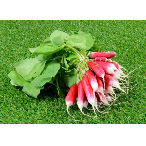 Редис Французький сніданок 10гр Смачний Житомир