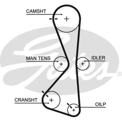 Ремень ГРМ Gates 5609XS Винница
