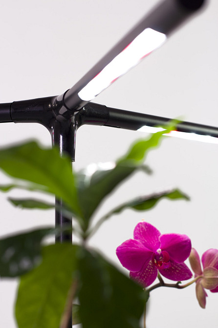 Фітолампа для рослин, квітів, орхідей, розсади - фітосвітильник повного спектру "Romario" Борисполь - изображение 7