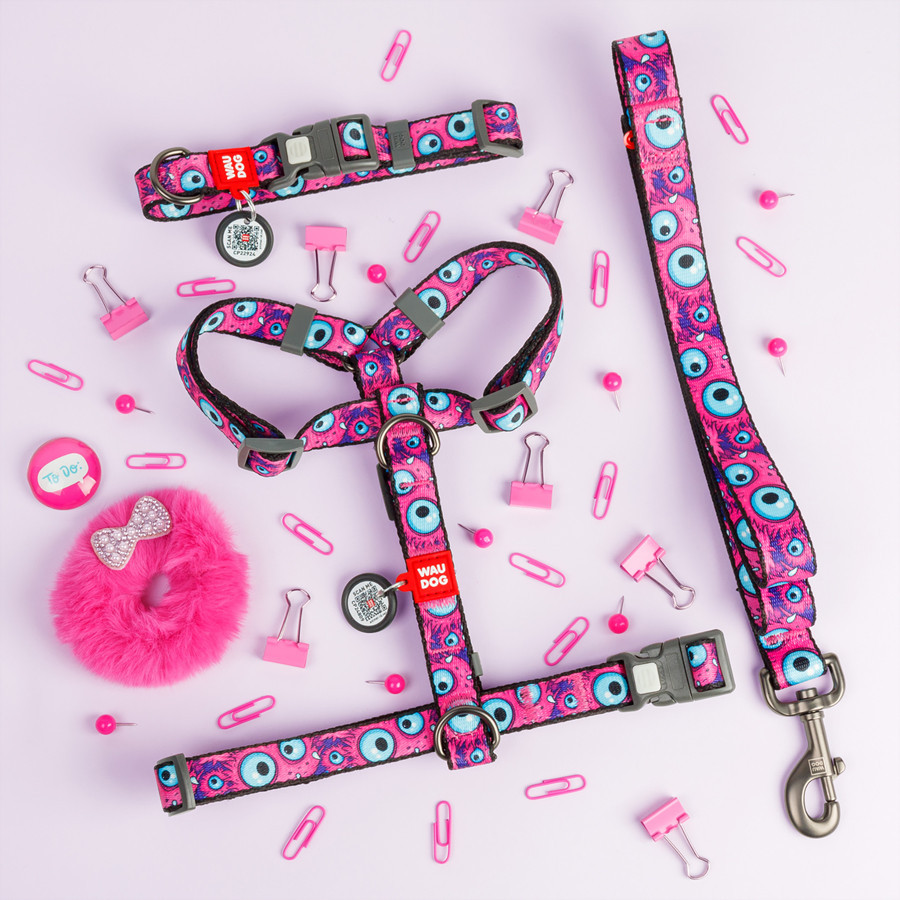 Ошейник для собак нейлоновый WAUDOG Nylon с QR паспортом, рисунок 