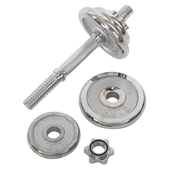 Набір хромованих гантелей 2 по 10 кг в кейсі Zelart-9644 Київ