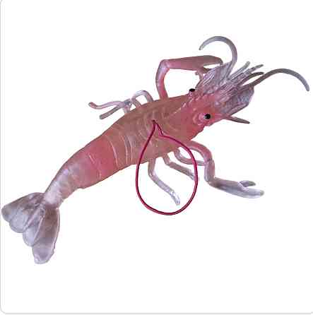 Іграшкова силіконова велика креветка 13 см рожевий Київ