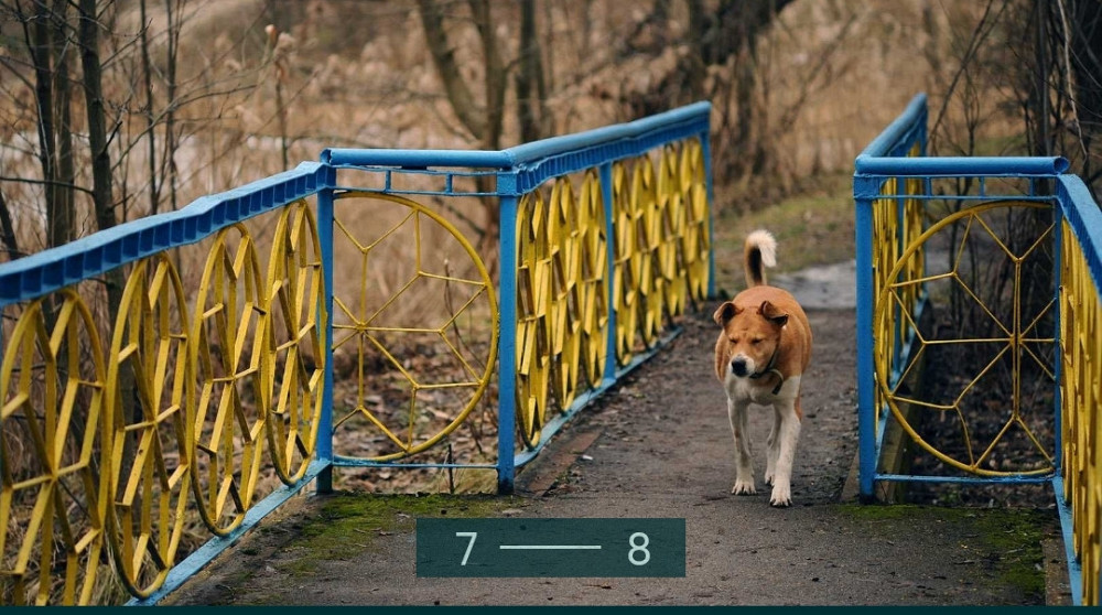 Объектив: NIKKOR 105/2.5 Ai . Прекрасный мануальный портрет от NIKON Киев - изображение 6