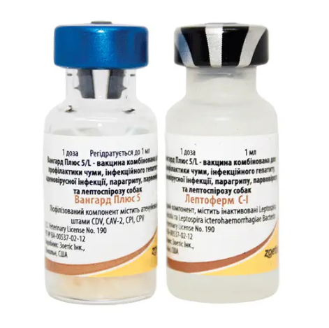 Вакцина ВАНГАРД - 5L Plus №1 (одна доза), Zoetis (термін придатності до 04,08,2026 р) Вінниця